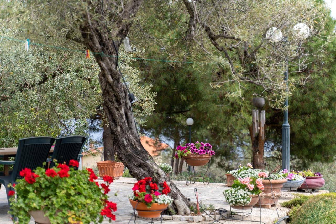 Villa Elia Kavala - Mediterranean Holiday Villa ปาเลออน ซิฟลิคิออน ภายนอก รูปภาพ