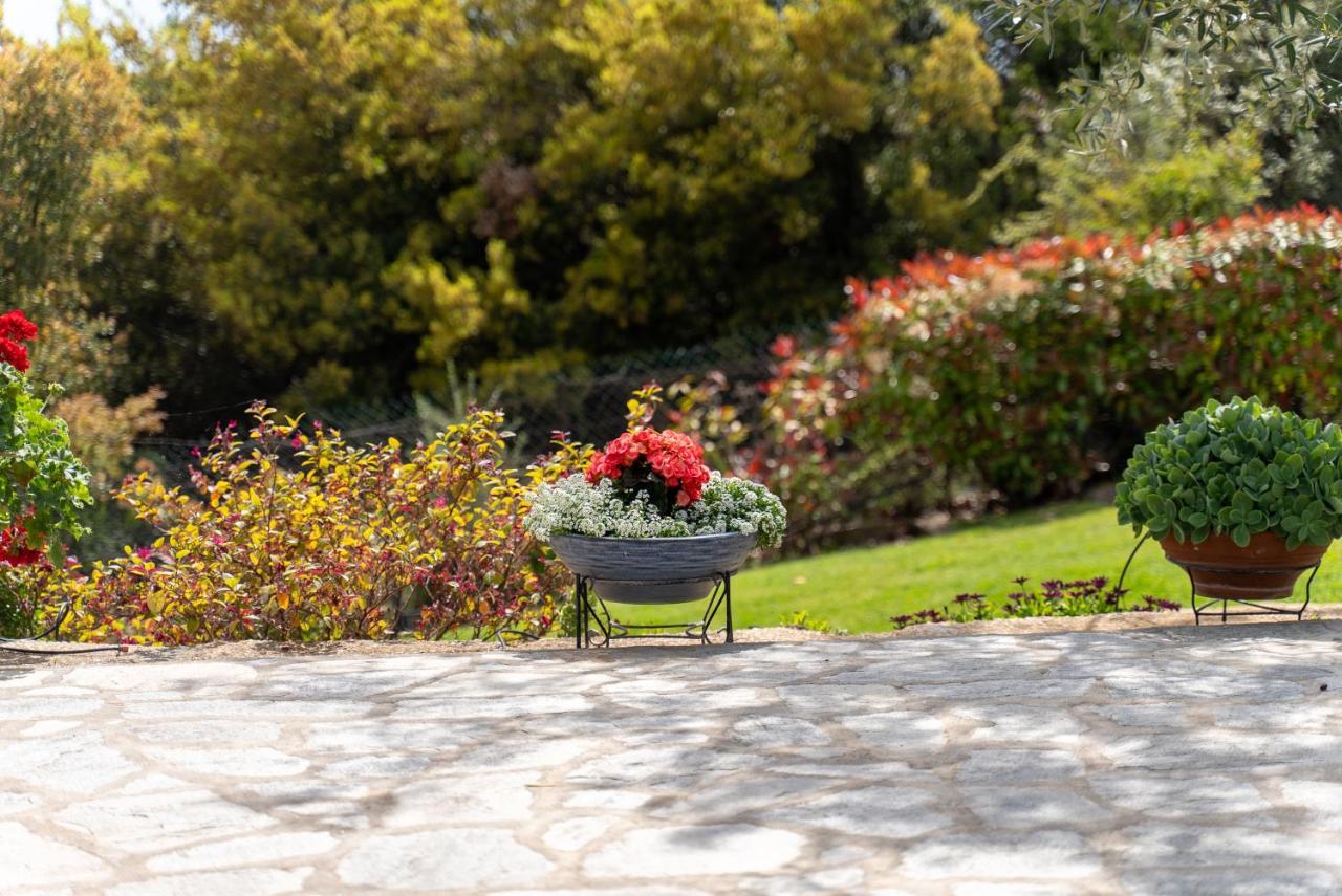 Villa Elia Kavala - Mediterranean Holiday Villa ปาเลออน ซิฟลิคิออน ภายนอก รูปภาพ