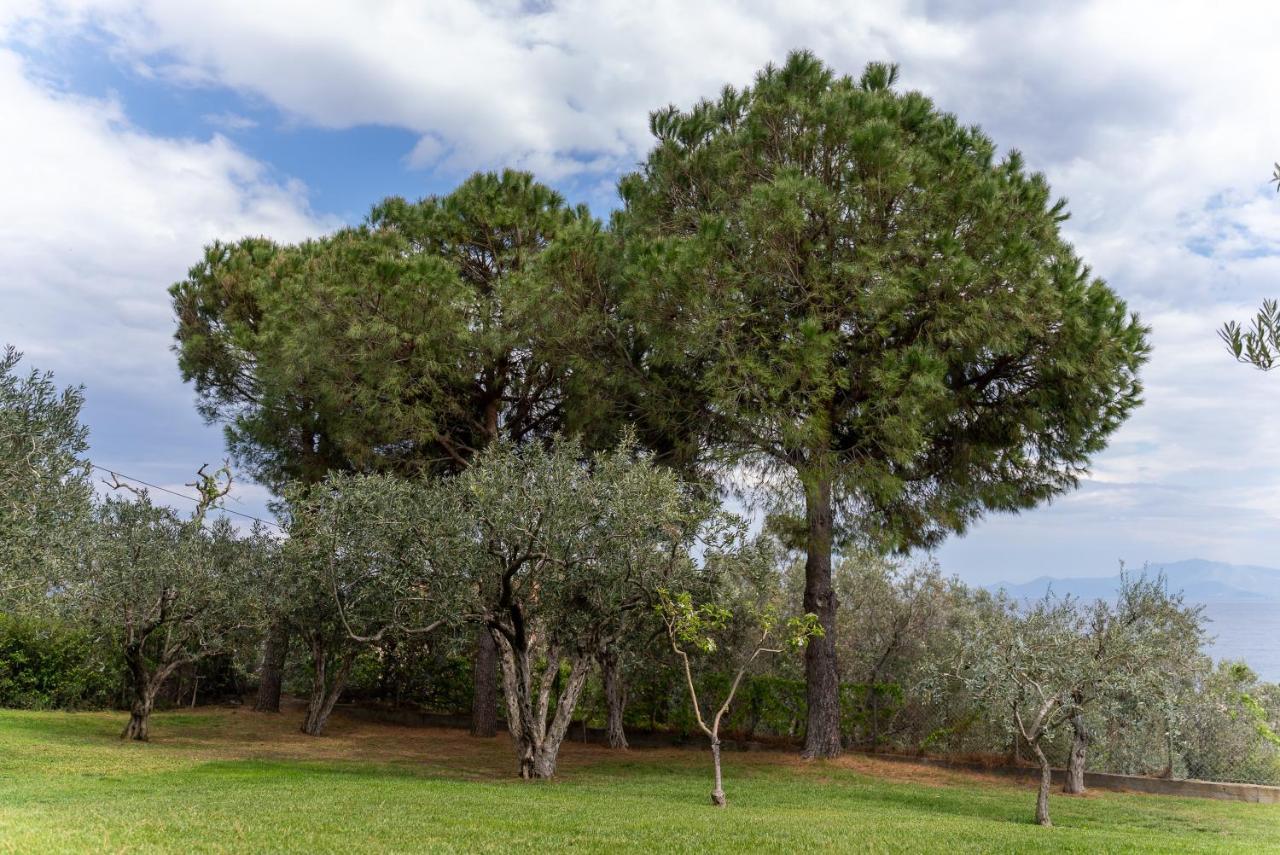 Villa Elia Kavala - Mediterranean Holiday Villa ปาเลออน ซิฟลิคิออน ภายนอก รูปภาพ